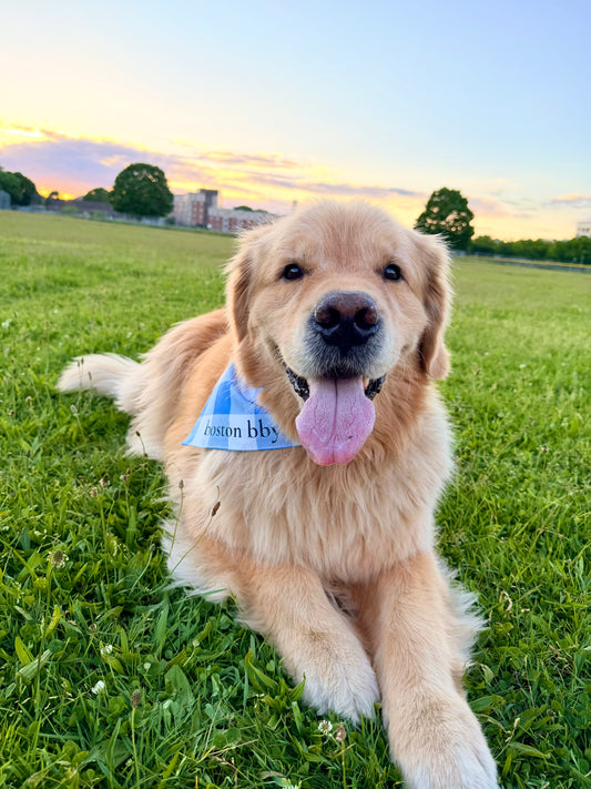 boston bby. Reversible Bandana