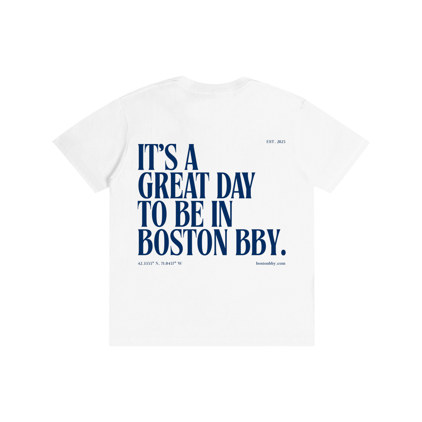 Great Day In boston bby. T-shirt